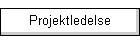 Projektledelse